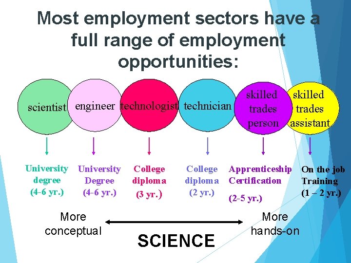 Most employment sectors have a full range of employment opportunities: scientist engineer technologist technician