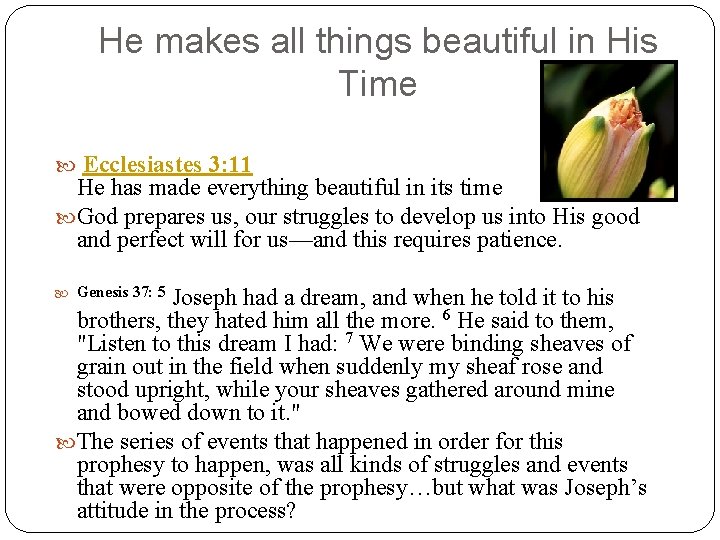 He makes all things beautiful in His Time Ecclesiastes 3: 11 He has made