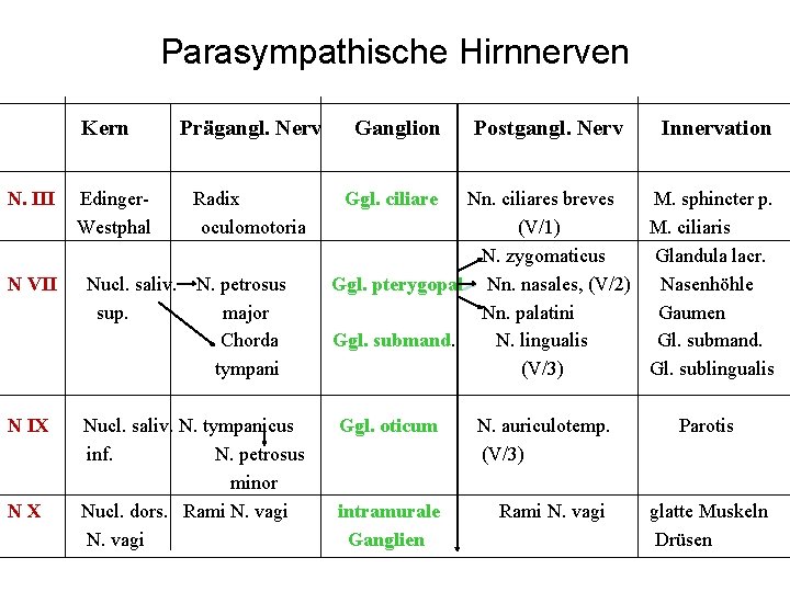 Parasympathische Hirnnerven Kern N. III Edinger. Westphal Prägangl. Nerv Radix oculomotoria N VII Nucl.