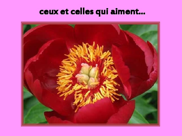 ceux et celles qui aiment… 