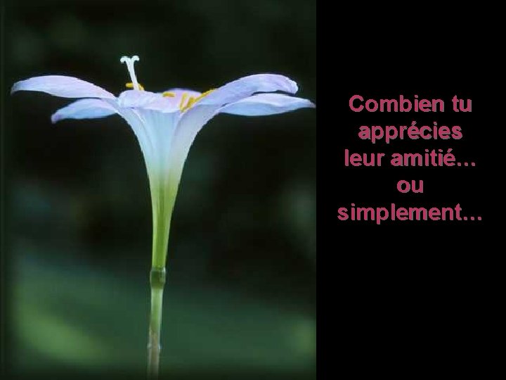 Combien tu apprécies leur amitié… ou simplement… 