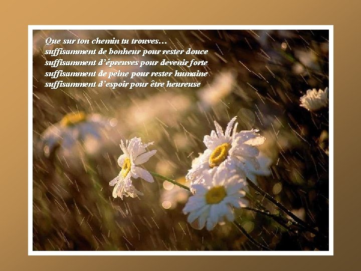 Que sur ton chemin tu trouves… suffisamment de bonheur pour rester douce suffisamment d’épreuves