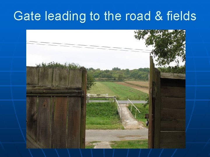 Gate leading to the road & fields 