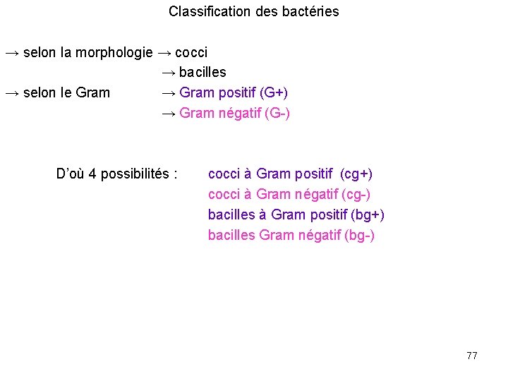 Classification des bactéries → selon la morphologie → cocci → bacilles → selon le