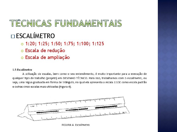 � ESCALÍMETRO 1: 20; 1: 25; 1: 50; 1: 75; 1: 100; 1: 125