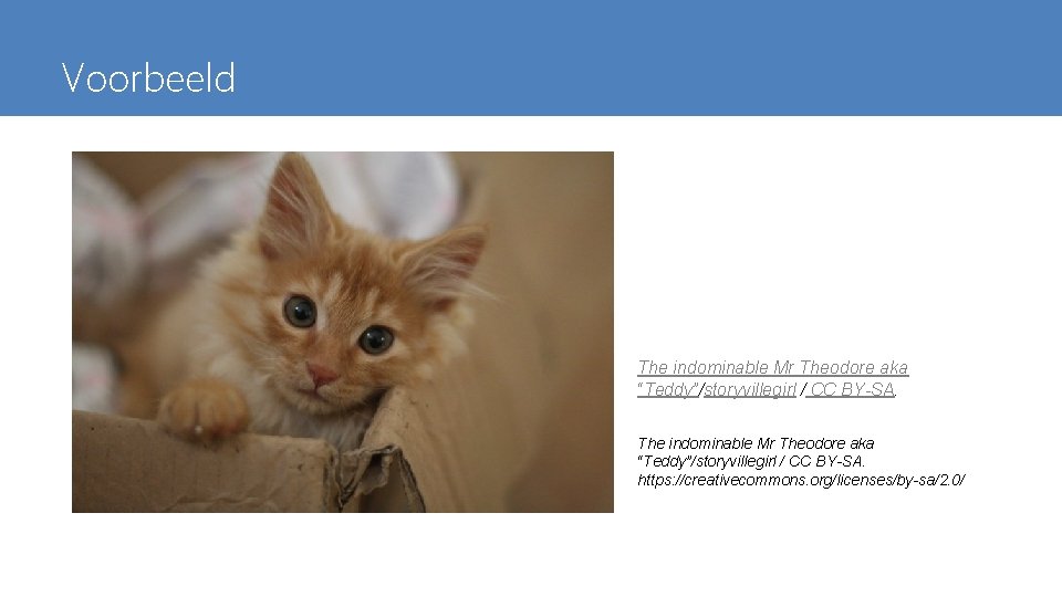Voorbeeld The indominable Mr Theodore aka “Teddy”/storyvillegirl / CC BY-SA. https: //creativecommons. org/licenses/by-sa/2. 0/