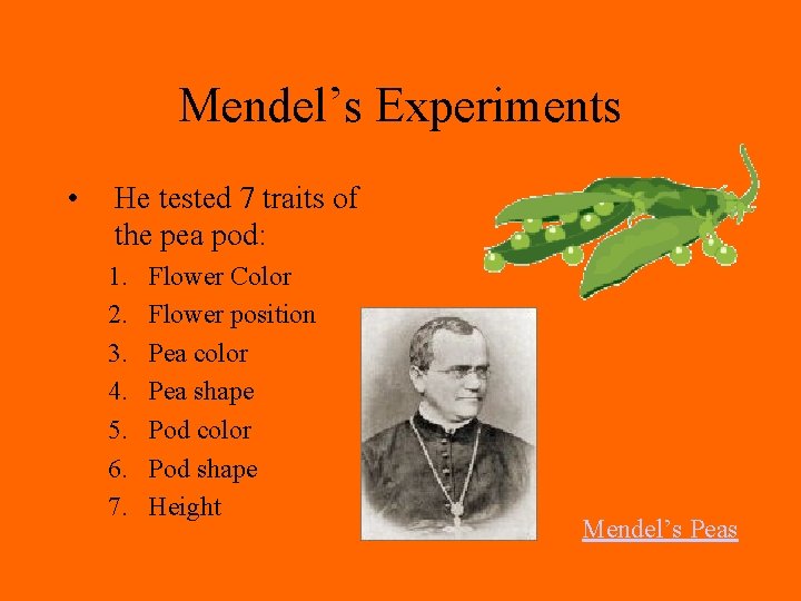 Mendel’s Experiments • He tested 7 traits of the pea pod: 1. 2. 3.