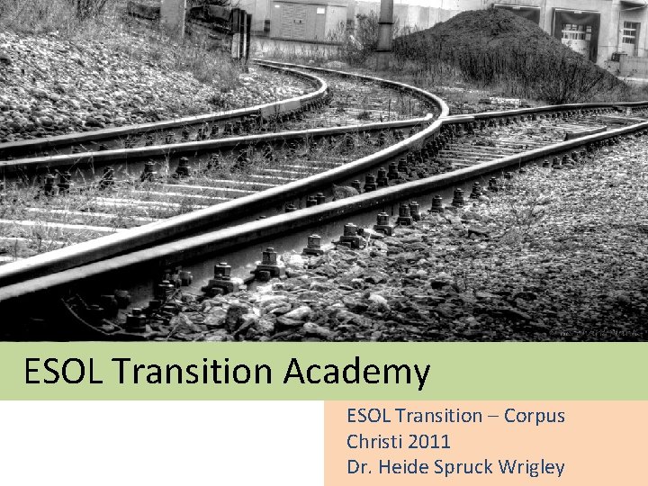 ESOL Transition Academy ESOL Transition – Corpus Christi 2011 Dr. Heide Spruck Wrigley 