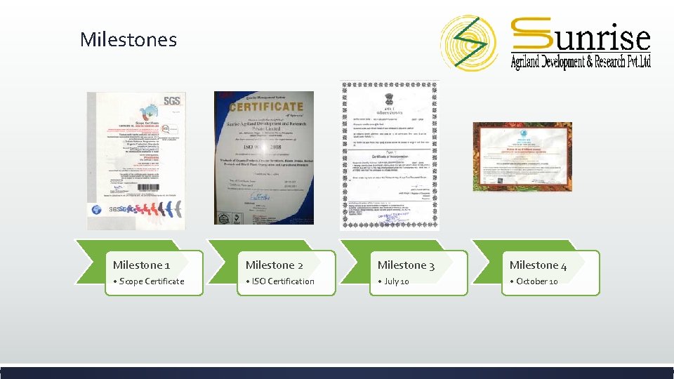 Milestones Milestone 1 Milestone 2 Milestone 3 Milestone 4 • Scope Certificate • ISO