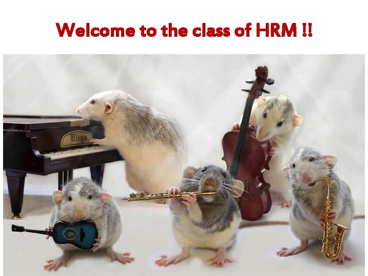 Welcome to the class of HRM !! 