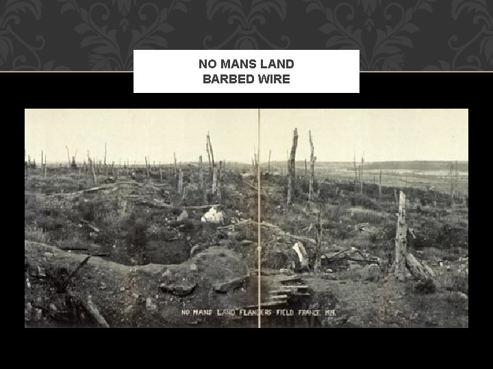 NO MANS LAND BARBED WIRE 