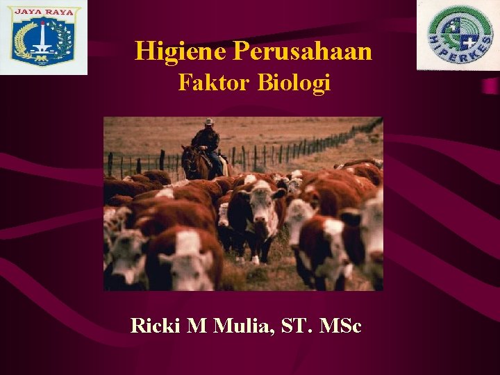 Higiene Perusahaan Faktor Biologi Ricki M Mulia, ST. MSc 