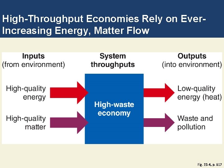 High-Throughput Economies Rely on Ever. Increasing Energy, Matter Flow Fig. 23 -4, p. 617