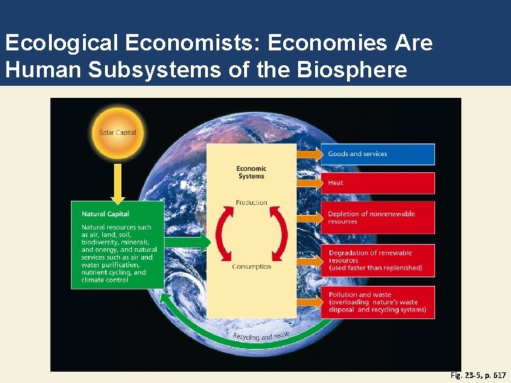 Ecological Economists: Economies Are Human Subsystems of the Biosphere Fig. 23 -5, p. 617