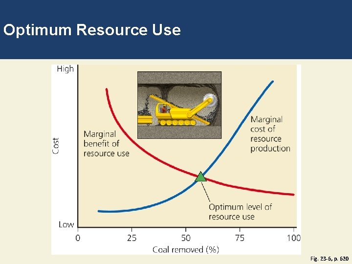 Optimum Resource Use Fig. 23 -6, p. 620 