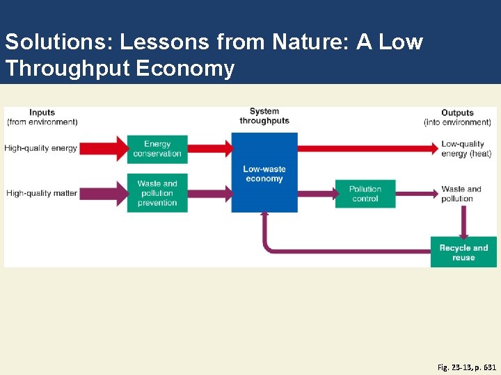 Solutions: Lessons from Nature: A Low Throughput Economy Fig. 23 -13, p. 631 