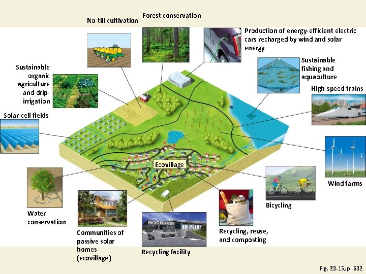 No-till cultivation Forest conservation Production of energy-efficient electric cars recharged by wind and solar