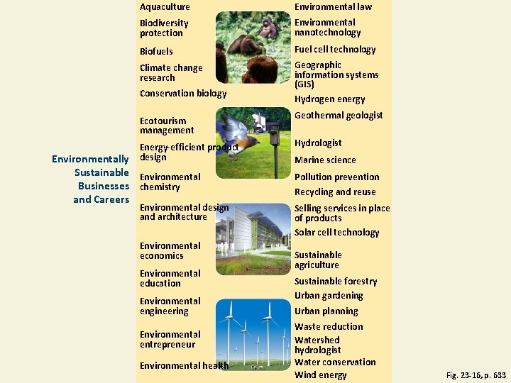 Aquaculture Environmental law Biodiversity protection Environmental nanotechnology Biofuels Fuel cell technology Climate change research