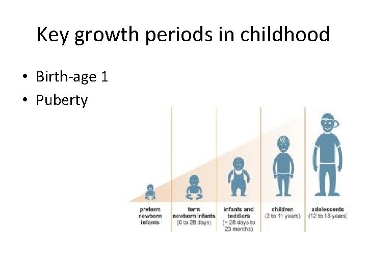 Key growth periods in childhood • Birth-age 1 • Puberty 