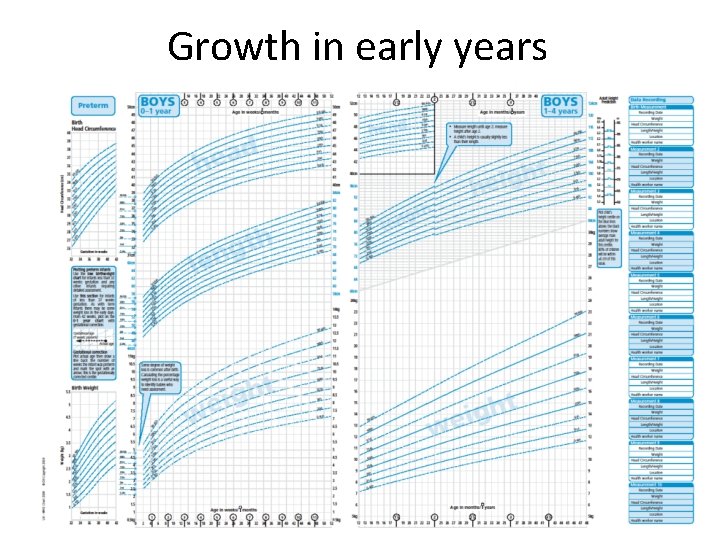 Growth in early years 