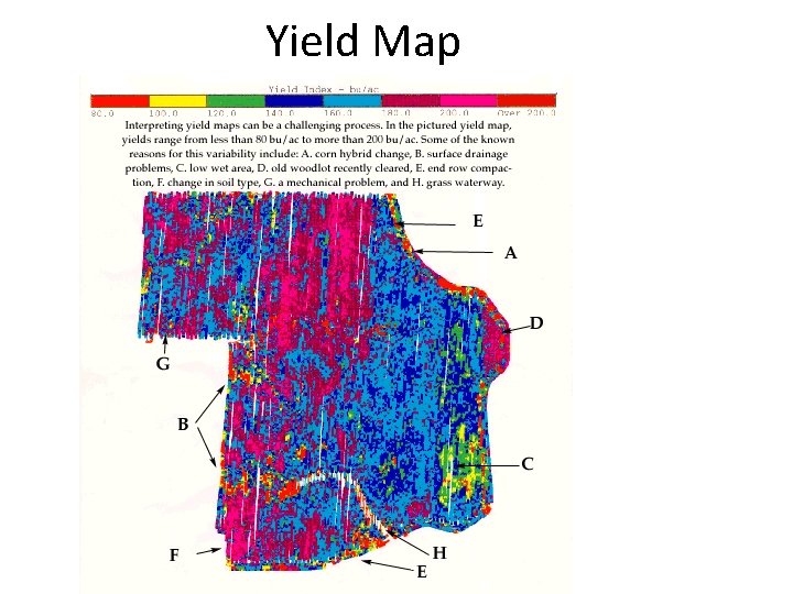 Yield Map 