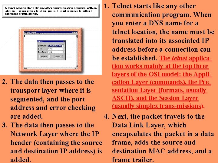 1. Telnet starts like any other communication program. When you enter a DNS name