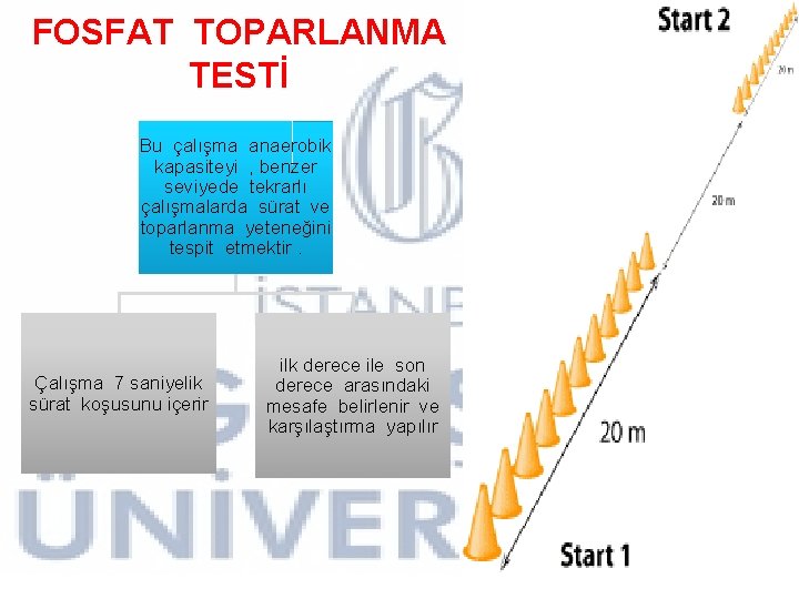 FOSFAT TOPARLANMA TESTİ Bu çalışma anaerobik kapasiteyi , benzer seviyede tekrarlı çalışmalarda sürat ve FOSFAT TOPARLANMA TESTİ Bu çalışma anaerobik kapasiteyi , benzer seviyede tekrarlı çalışmalarda sürat ve