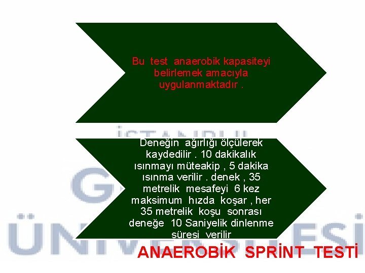 Bu test anaerobik kapasiteyi belirlemek amacıyla uygulanmaktadır. Deneğin ağırlığı ölçülerek kaydedilir. 10 dakikalık ısınmayı Bu test anaerobik kapasiteyi belirlemek amacıyla uygulanmaktadır. Deneğin ağırlığı ölçülerek kaydedilir. 10 dakikalık ısınmayı