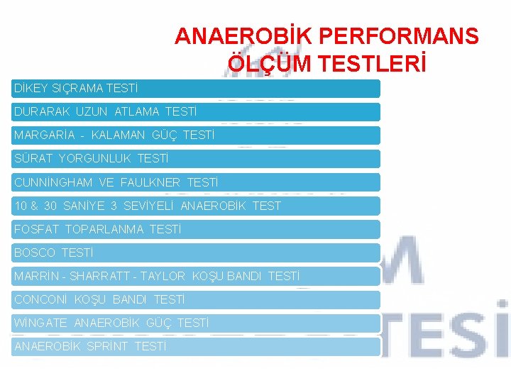 ANAEROBİK PERFORMANS ÖLÇÜM TESTLERİ DİKEY SIÇRAMA TESTİ DURARAK UZUN ATLAMA TESTİ MARGARİA - KALAMAN ANAEROBİK PERFORMANS ÖLÇÜM TESTLERİ DİKEY SIÇRAMA TESTİ DURARAK UZUN ATLAMA TESTİ MARGARİA - KALAMAN