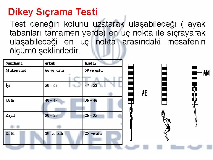 Dikey Sıçrama Testi Test deneğin kolunu uzatarak ulaşabileceği ( ayak tabanları tamamen yerde) en Dikey Sıçrama Testi Test deneğin kolunu uzatarak ulaşabileceği ( ayak tabanları tamamen yerde) en