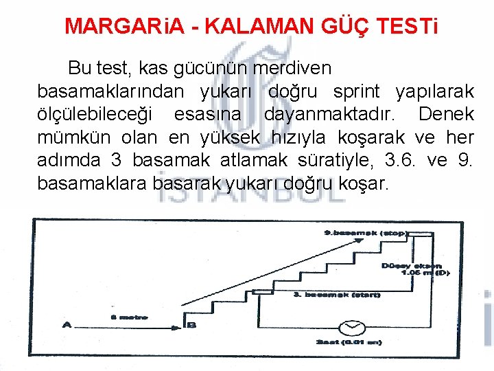 MARGARi. A - KALAMAN GÜÇ TESTi Bu test, kas gücünün merdiven basamaklarından yukarı doğru MARGARi. A - KALAMAN GÜÇ TESTi Bu test, kas gücünün merdiven basamaklarından yukarı doğru