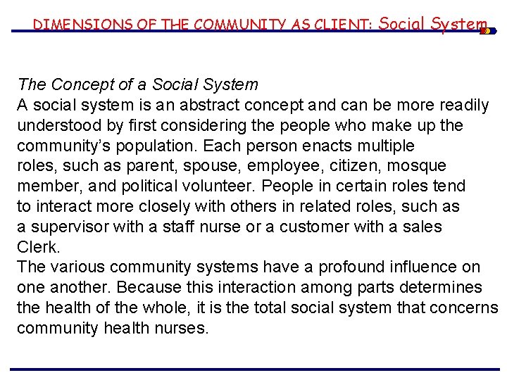 DIMENSIONS OF THE COMMUNITY AS CLIENT: Social System The Concept of a Social System