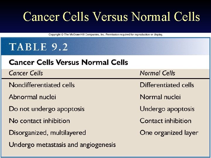 Cancer Cells Versus Normal Cells 2011 -12 