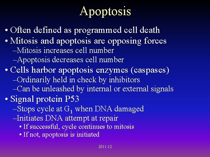 Apoptosis • Often defined as programmed cell death • Mitosis and apoptosis are opposing