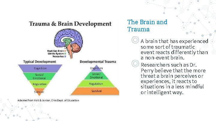 The Brain and Trauma ◎ A brain that has experienced some sort of traumatic