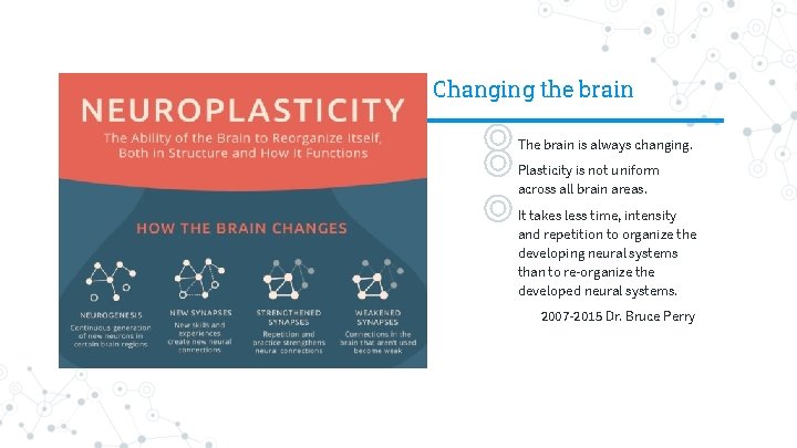 Changing the brain ◎ The brain is always changing. ◎ Plasticity is not uniform