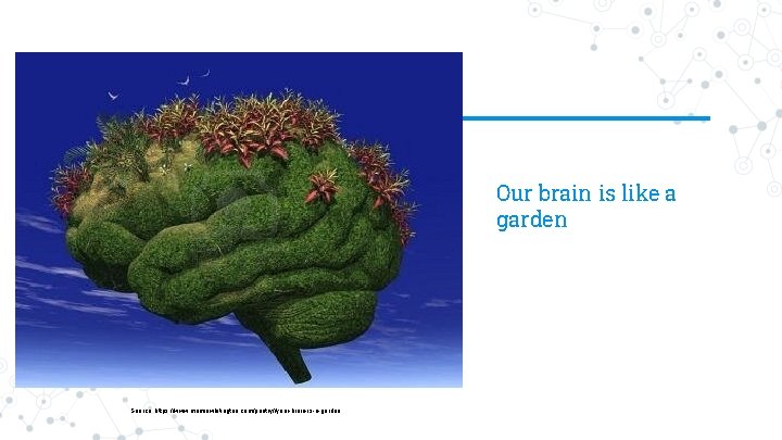 Our brain is like a garden Source: https: //www. mamiewhitington. com/poetry//your-brain-is-a-garden 