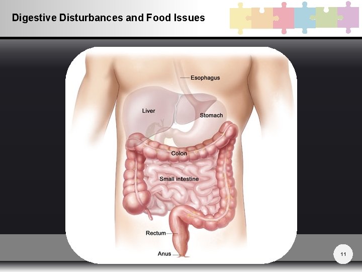 Digestive Disturbances and Food Issues 11 