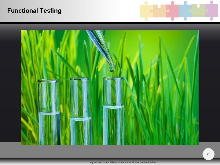 Functional Testing 26 http: //skinnaturalmedicine. com/functional-lab/optimize-health/ 