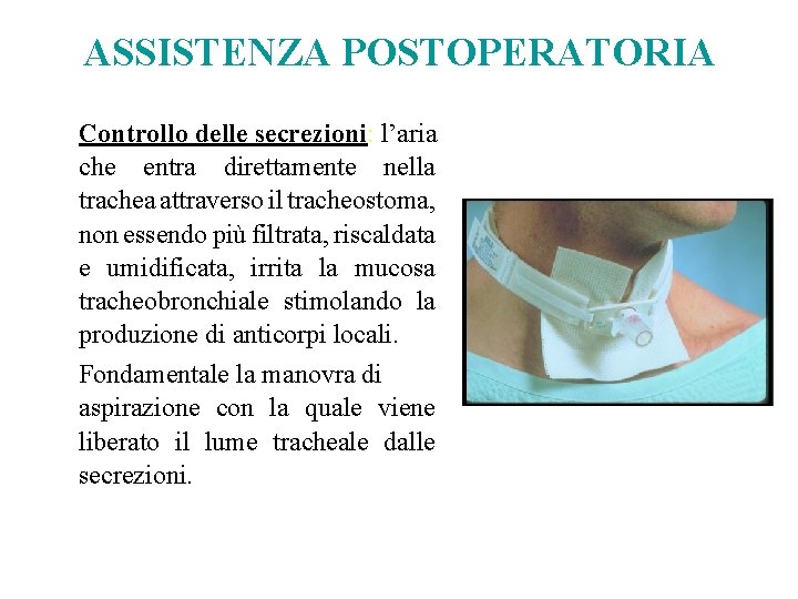 ASSISTENZA POSTOPERATORIA Controllo delle secrezioni: l’aria che entra direttamente nella trachea attraverso il tracheostoma,