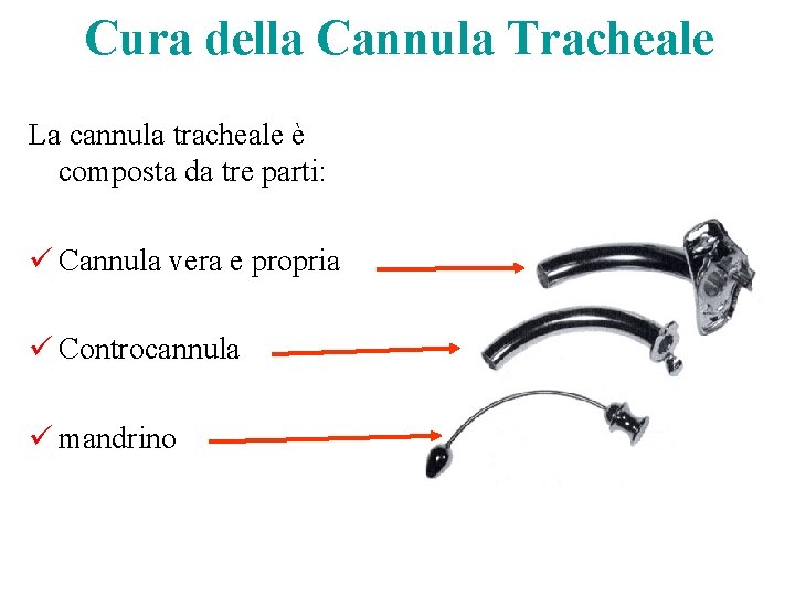 Cura della Cannula Tracheale La cannula tracheale è composta da tre parti: ü Cannula