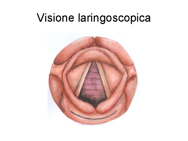 Visione laringoscopica 