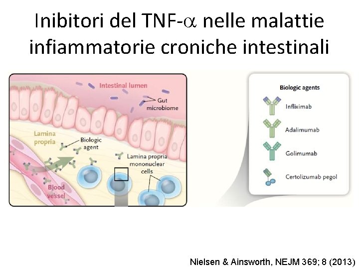 Inibitori del TNF-a nelle malattie infiammatorie croniche intestinali Nielsen & Ainsworth, NEJM 369; 8