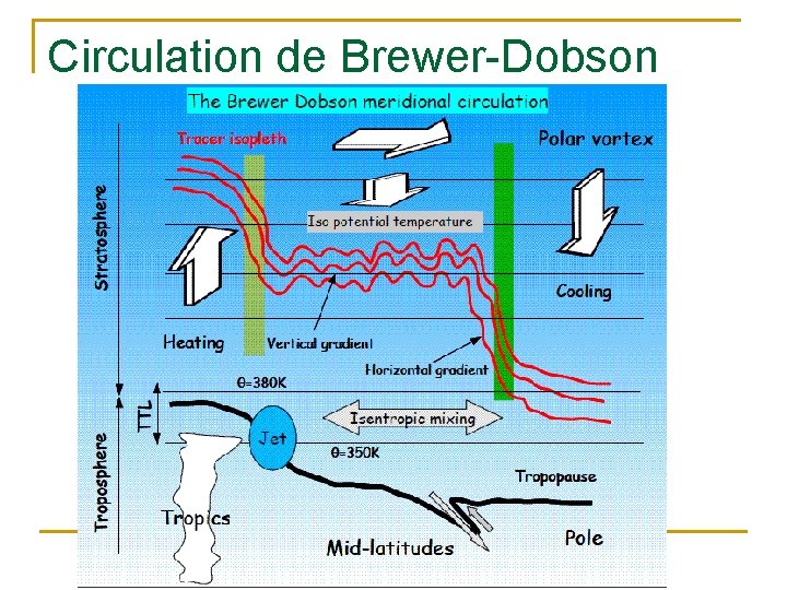 Circulation de Brewer-Dobson 