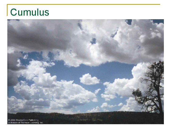 Cumulus 