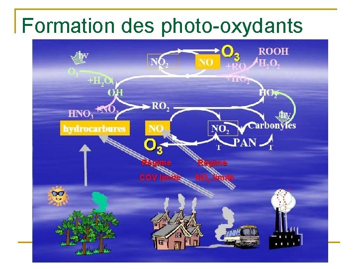 Formation des photo-oxydants 