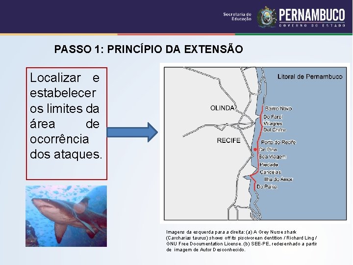 PASSO 1: PRINCÍPIO DA EXTENSÃO Localizar e estabelecer os limites da área de ocorrência