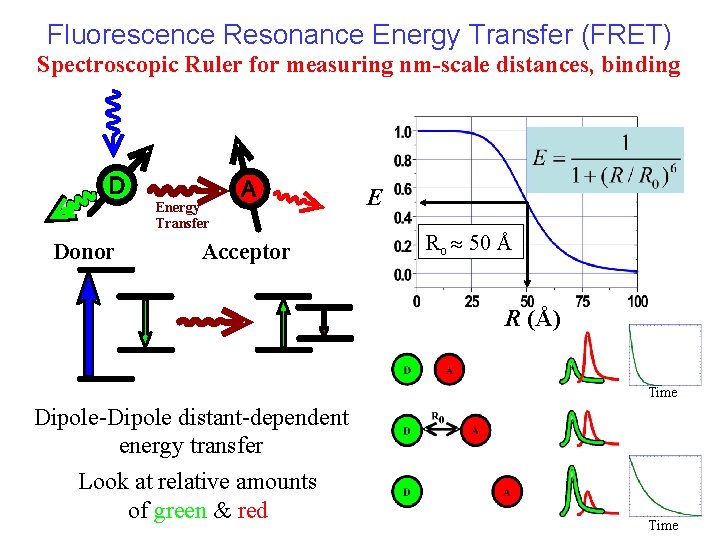 Fluorescence Resonance Energy Transfer (FRET) Spectroscopic Ruler for measuring nm-scale distances, binding Energy Transfer