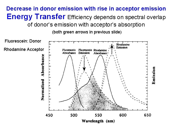 Decrease in donor emission with rise in acceptor emission Energy Transfer Efficiency depends on