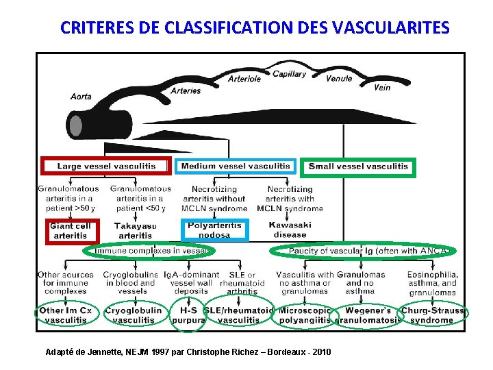 CRITERES DE CLASSIFICATION DES VASCULARITES Adapté de Jennette, NEJM 1997 par Christophe Richez –